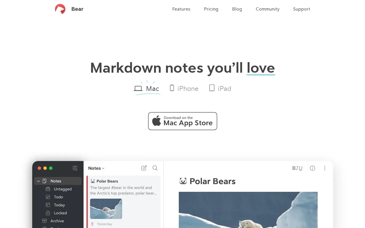 Screenshot of Bear
