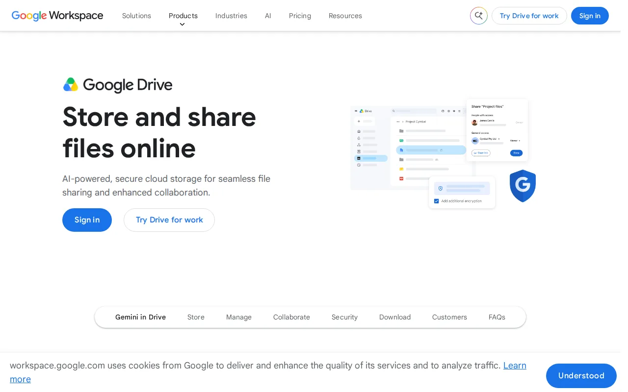 Screenshot of Google Drive
