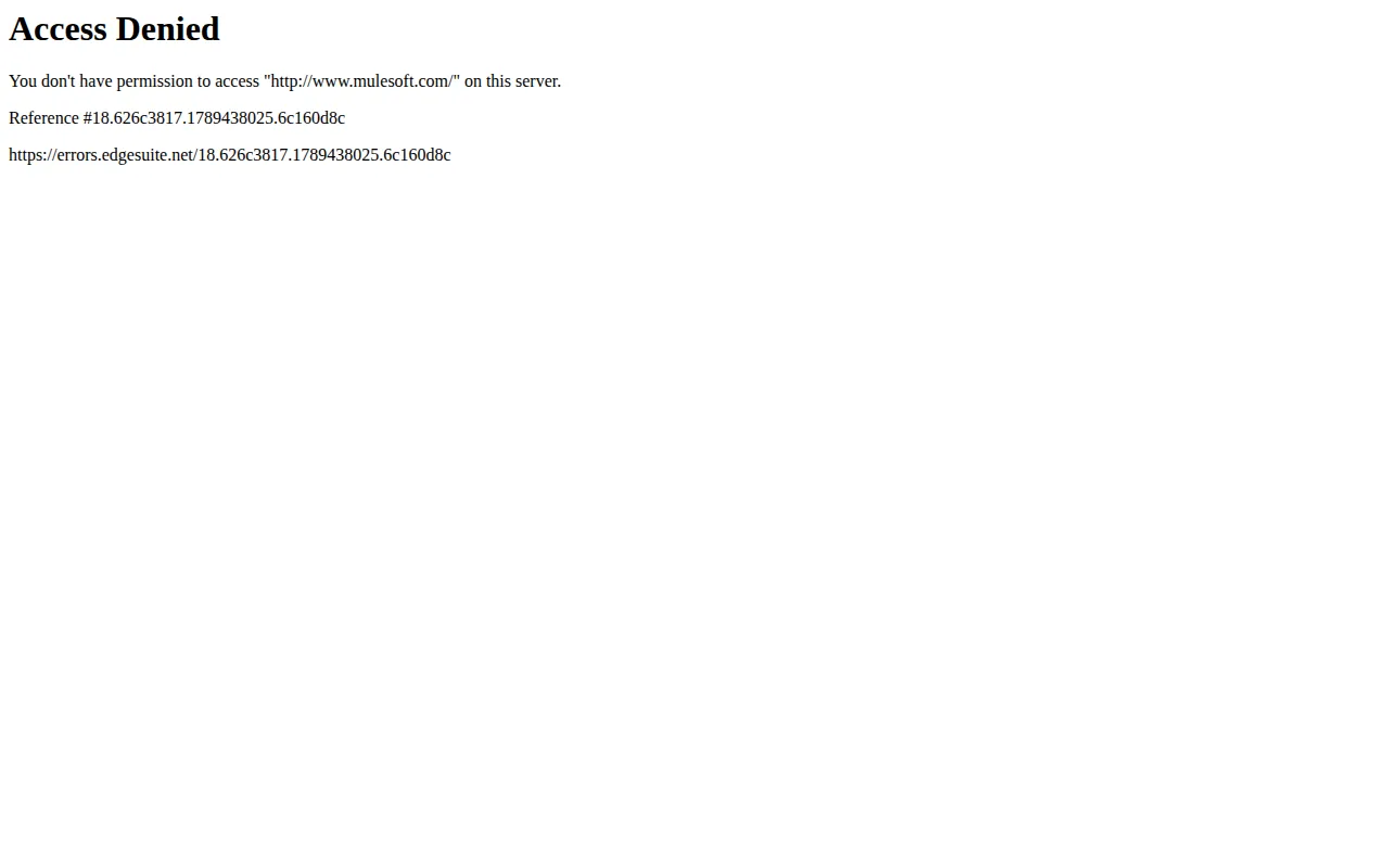 Screenshot of MuleSoft