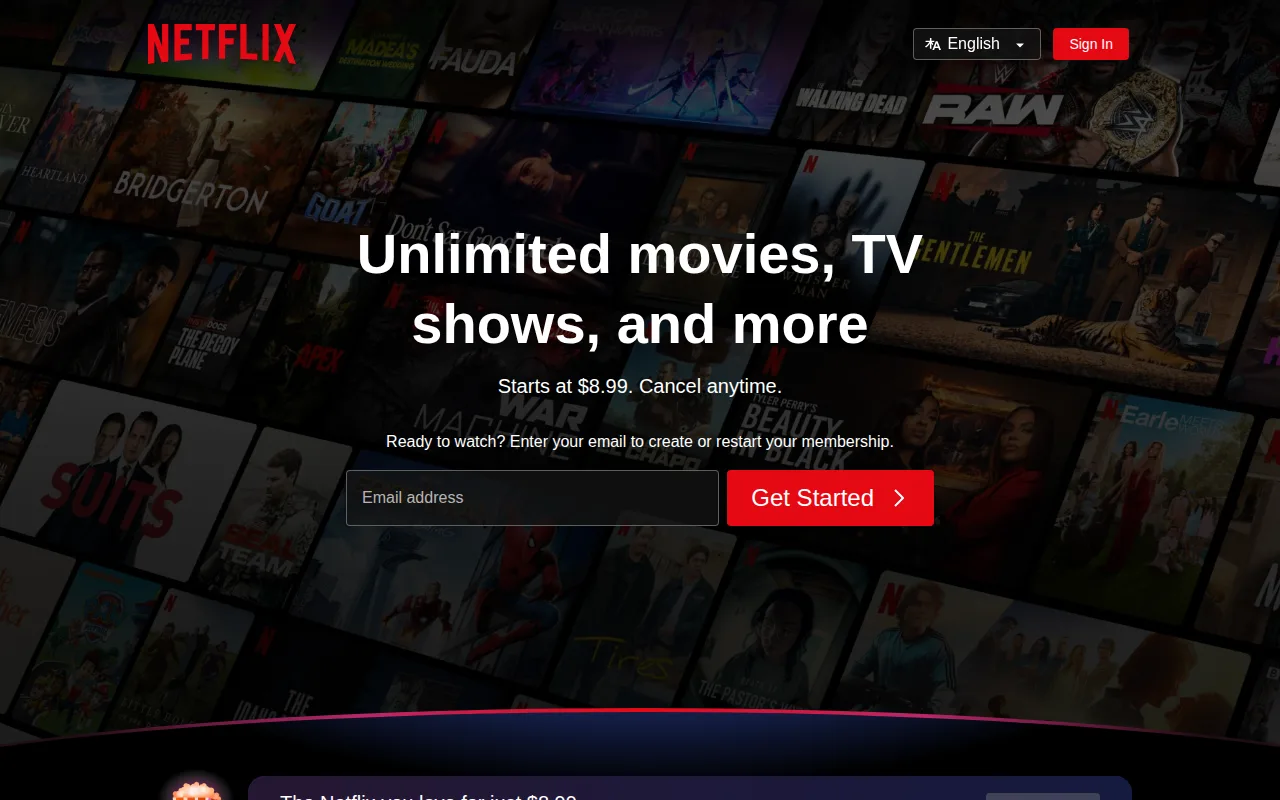 Screenshot of Netflix