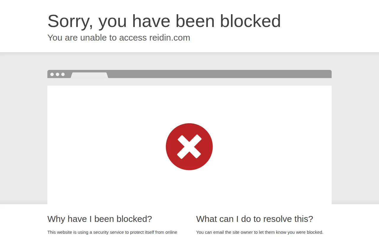 Screenshot of REIDIN